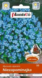 niezapominajka-niebieska-wabi-motyle-nasiona-plantico