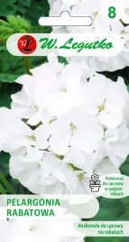 legutko-pelargonia-rabatowa-gama-f1biala-dlugo-kwitnie