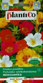 portulaka-wielkokwiatowa-mieszanka-kolorow-nasiona-plantico