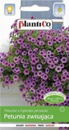 petunia-surfinia-zwisajaca-fioletowa-nasiona-plantico