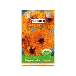 nagietek-lekarski-wysoki-pomaranczowy-radio-nasiona-05g-plantico