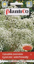 gipsowka-wiechowata-05g-nasiona-plantico