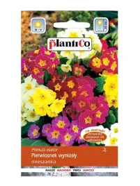 pierwiosnek-wyniosly-mieszanka-kolorow-nasiona-plantico