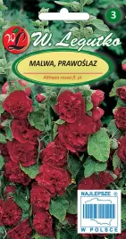malwa-ogrodowa-czerwona-prawoslaz-duze-pelne-kwiaty-nasiona-legutko