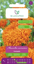aksamitka-fantastic-wzniesiona-pomaranczowa-04-g-nasiona-legutko