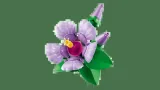 lego-botanicals-10372-hibiskus-rodzaj-zestaw