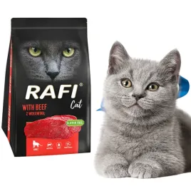 rafi-cat-with-beef-wolowina-15-kg