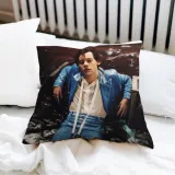 poduszka-harry-styles-nadruk-2stronny-stan-nowy
