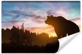 fototapeta-grizzly-zachod-slonca-krajobraz-450x300