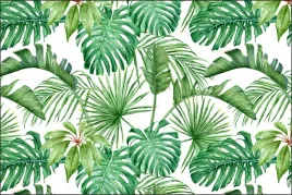 fototapeta-liscie-monstera-180-x-270-688154860