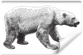 fototapeta-niedzwiedz-polarny-ilustracja-450x300