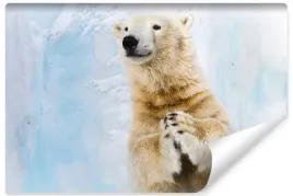 fototapeta-niedzwiedz-polarny-zimna-dekor-450x300