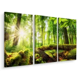 obraz-3-czesciowy-slonce-w-lesie-zielen-3d-120x80