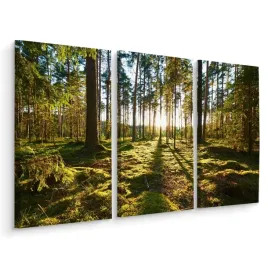 obraz-tryptyk-las-drzewa-slonce-natura-3d-180x120