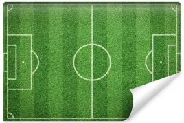 fototapeta-na-wymiar-stadion-murawa-pilka-450x300