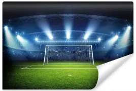 fototapeta-do-salonu-stadion-bramka-sport-400x280