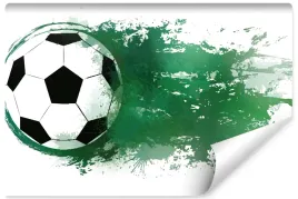 fototapeta-dla-mlodziezy-pilka-nozna-sport-450x300
