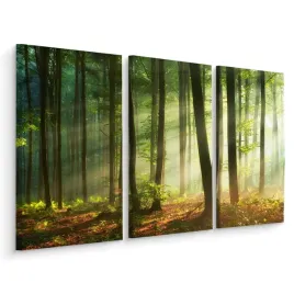 obraz-tryptyk-promienie-slonca-w-lesie-3d-120x80