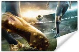 fototapeta-pilka-nozna-pilkarze-stadion-3d-450x300