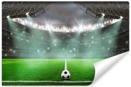 fototapeta-stadion-pilka-nozna-sport-3d-450x300