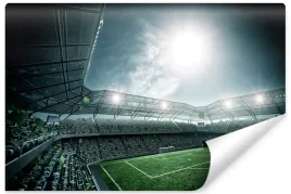fototapeta-pilka-nozna-stadion-pilkarski-450x300