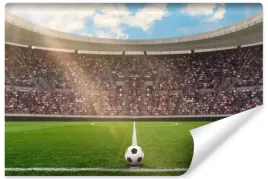 fototapeta-stadion-pilkarski-pilka-nozna-450x300