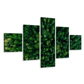 obraz-poliptyk-las-widok-z-lotu-ptaka-3d-250x150