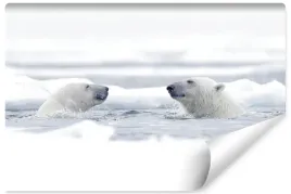 fototapeta-niedzwiedzie-polarne-woda-zima-450x300
