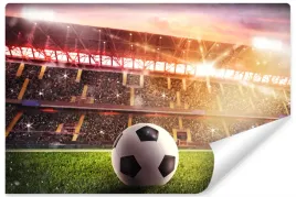 fototapeta-dziecieca-pilka-nozna-stadion-450x300