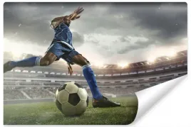 fototapeta-stadion-pilka-nozna-pilkarz-3d-450x300