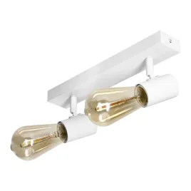 rio-sp-2-oprawa-scienno-sufitowa-e27-max-2x60w-ip20-biala