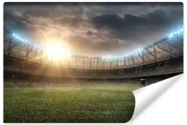 fototapeta-pilka-nozna-stadion-sport-3d-450x300