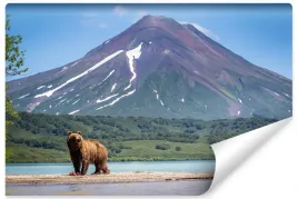 fototapeta-pejzaz-niedzwiedz-natura-gory-400x280