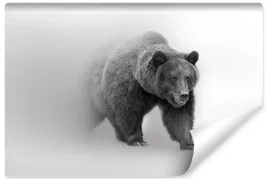 fototapeta-scienna-czarno-biala-grizzly-3d-450x300
