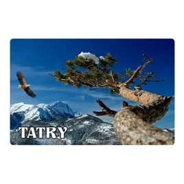 magnes-na-lodowke-z-efektem-3d-zakopane-tatry