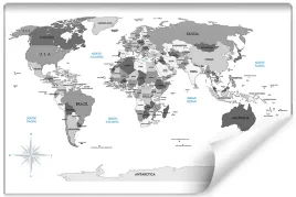 fototapeta-dekoracyjna-szara-mapa-swiata-368x254