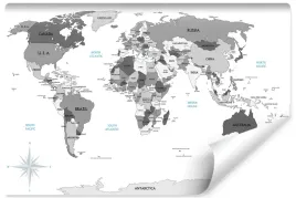 fototapeta-dekoracyjna-szara-mapa-swiata-270x180