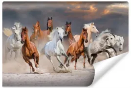 fototapeta-konie-w-galopie-pustynia-chmury-450x300