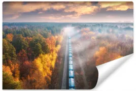 fototapeta-pociag-drzewa-widok-z-gory-3d-400x280