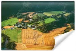 fototapeta-pole-las-widok-z-lotu-ptaka-3d-450x300