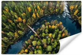 fototapeta-las-rzeka-widok-z-lotu-ptaka-3d-450x300