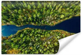 fototapeta-rzeka-drzewa-widok-z-gory-3d-450x300
