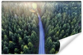 fototapeta-ulica-las-widok-z-lotu-ptaka-3d-450x300