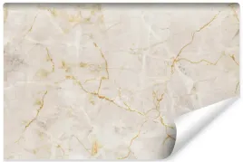 fototapeta-do-salonu-imitacja-marmur-skala-450x300