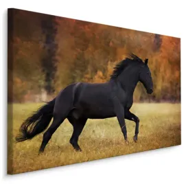 obraz-do-salonu-kon-zielen-przyroda-natura-90x60