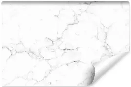 fototapeta-do-biura-klasyczny-wzor-marmuru-400x280