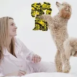 xxl-pop-it-push-bubble-robot-31-cm-material-guma