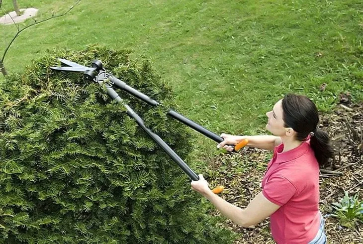 fiskars-nozyce-do-trawy-dlugie-gs53-kod-producenta-1001565