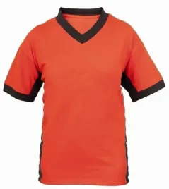 koszulka-robocza-meska-t-shirt-sirius-theron-xxxl