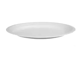 talerz-talerze-z-trzciny-cukrowej-eko-bio-owalne-32cm-grill-obiad-50szt
